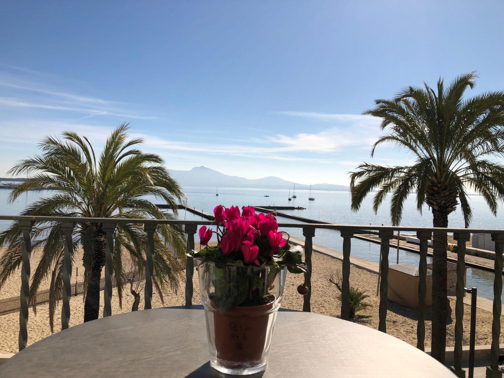 Apartment Torre Playa