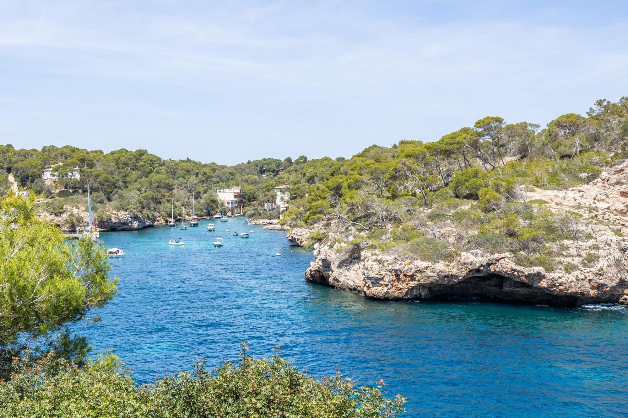 Apto Sirena Vista Jardin