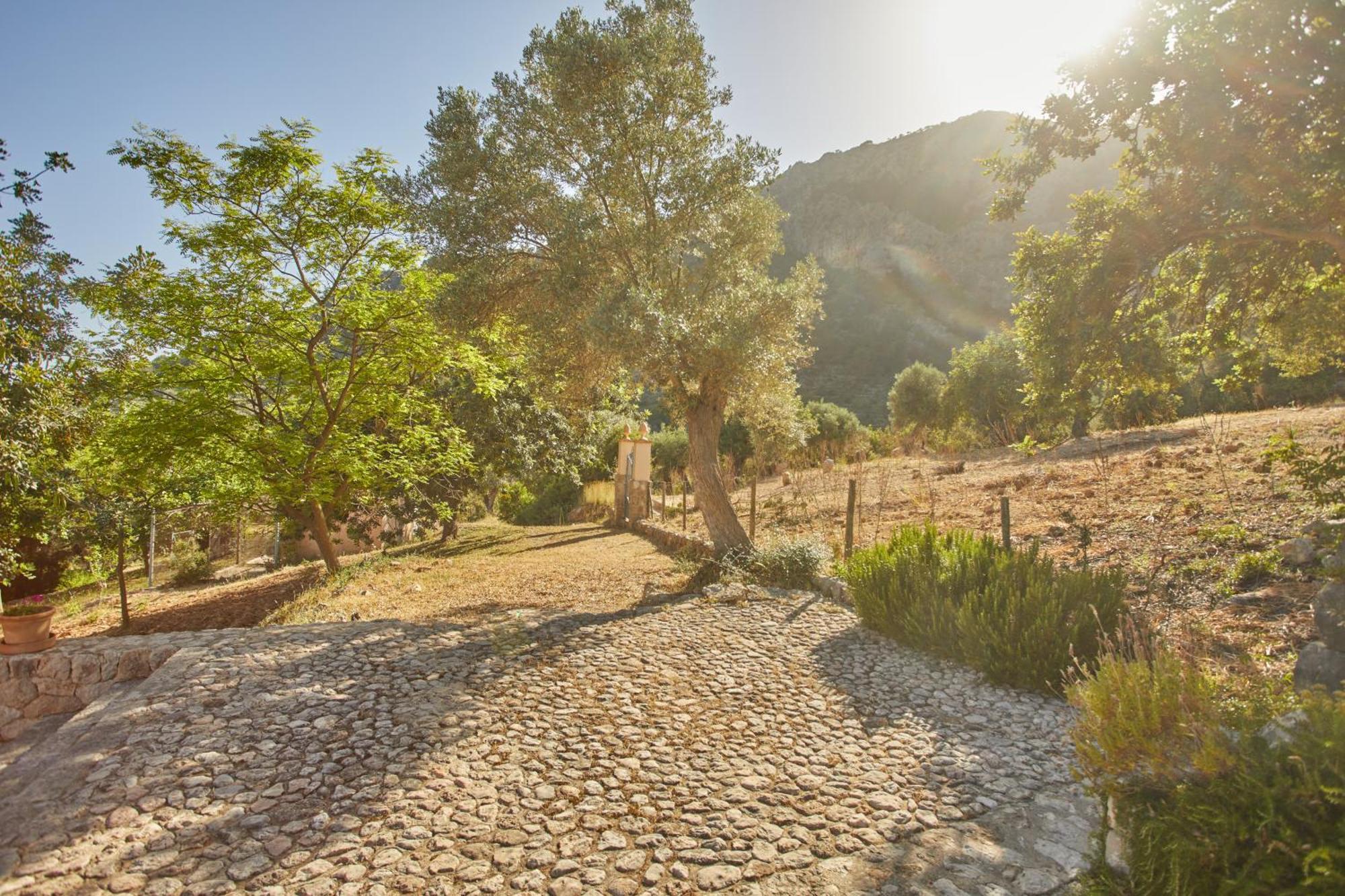 Alqueria Blanca Agroturismo Bunyola (Buñola)