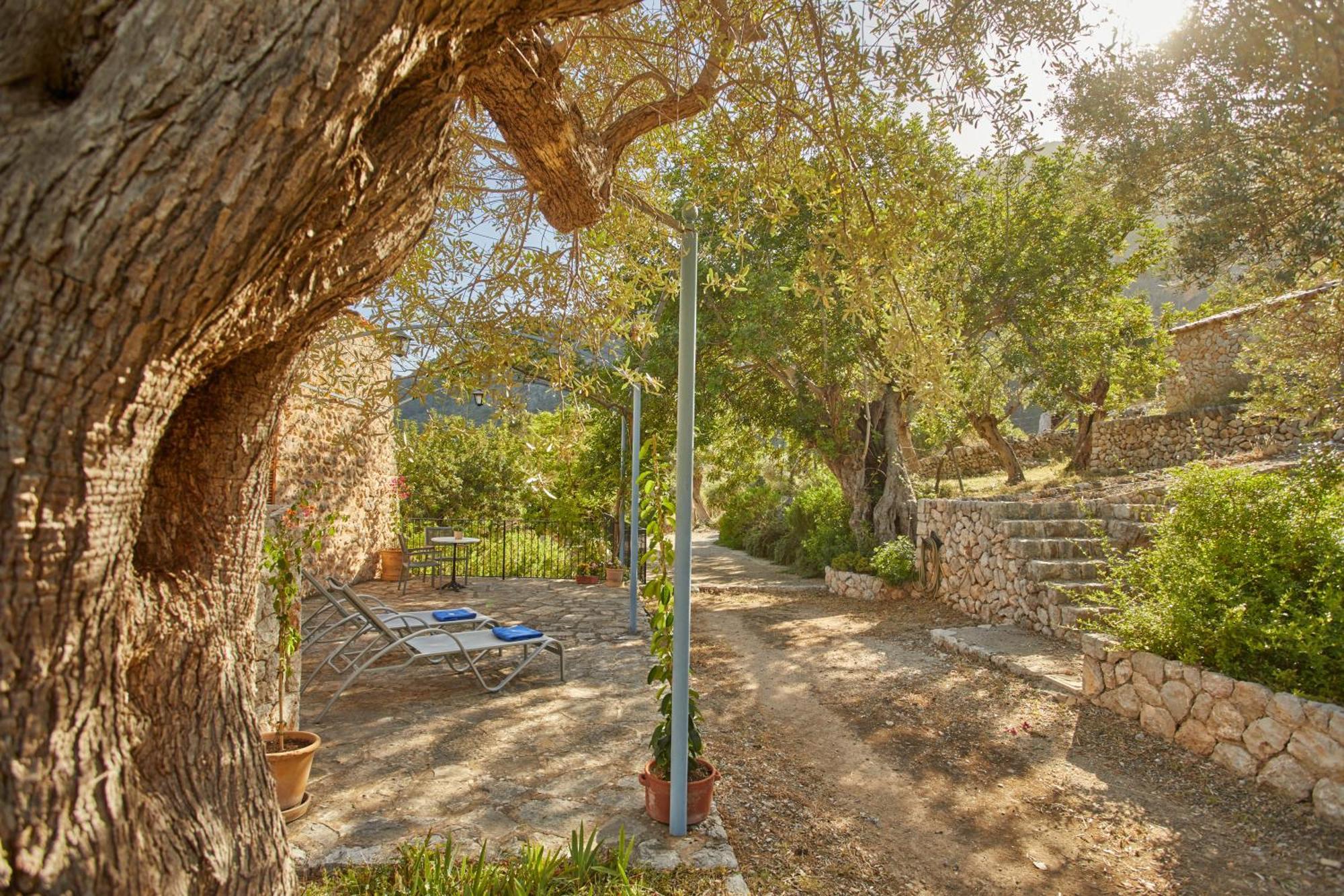 Agroturismo Alqueria Blanca
