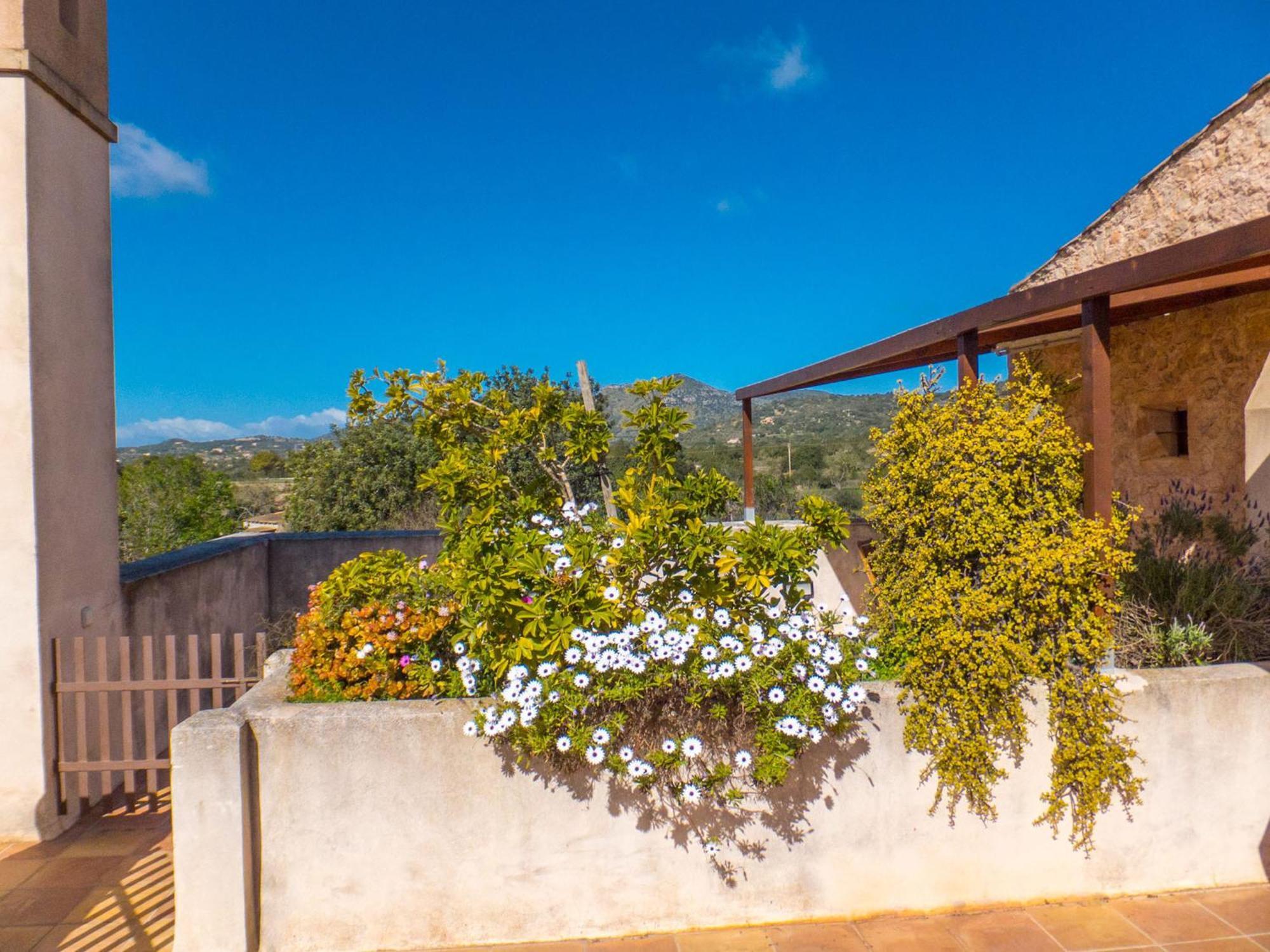 Ses Cases Noves Agroturismo *