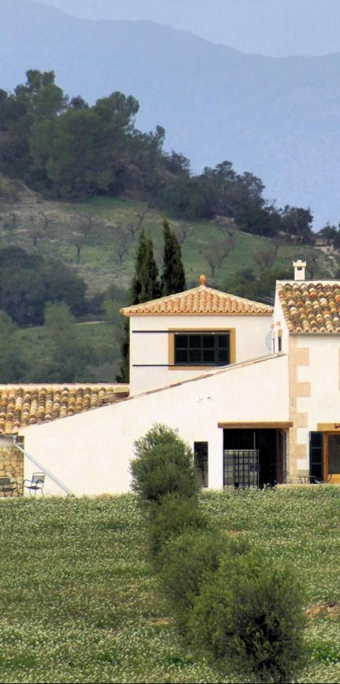 Gossalba * Sant Joan