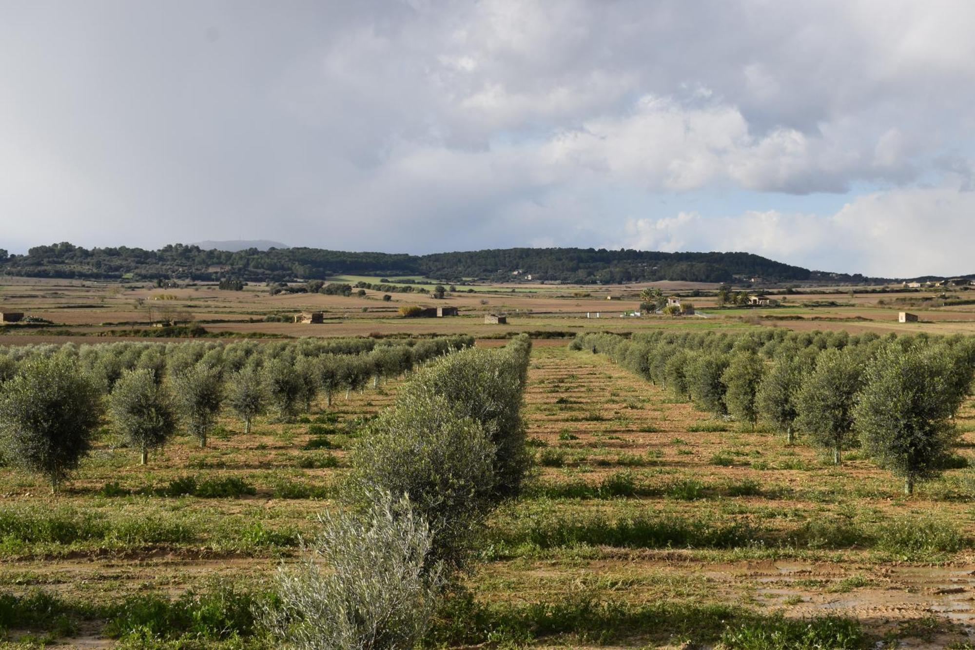 Agroturismo Gossalba *
