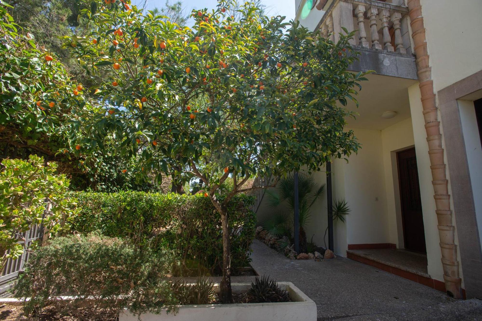 Apartamento Sea Horse Oasis Playa de Muro (Mallorca)