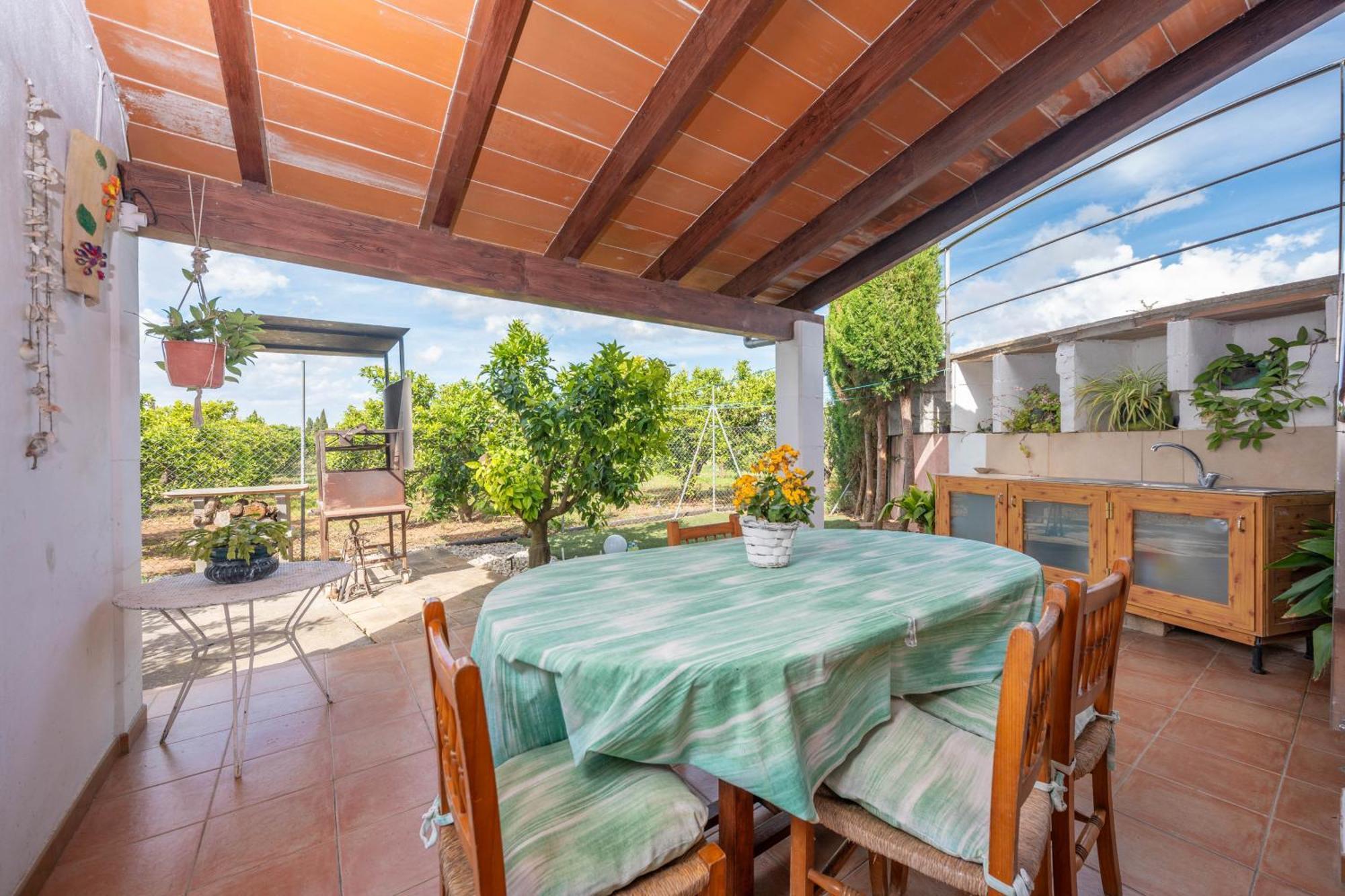 Pintat -llubi- * San Lorenzo (Mallorca)