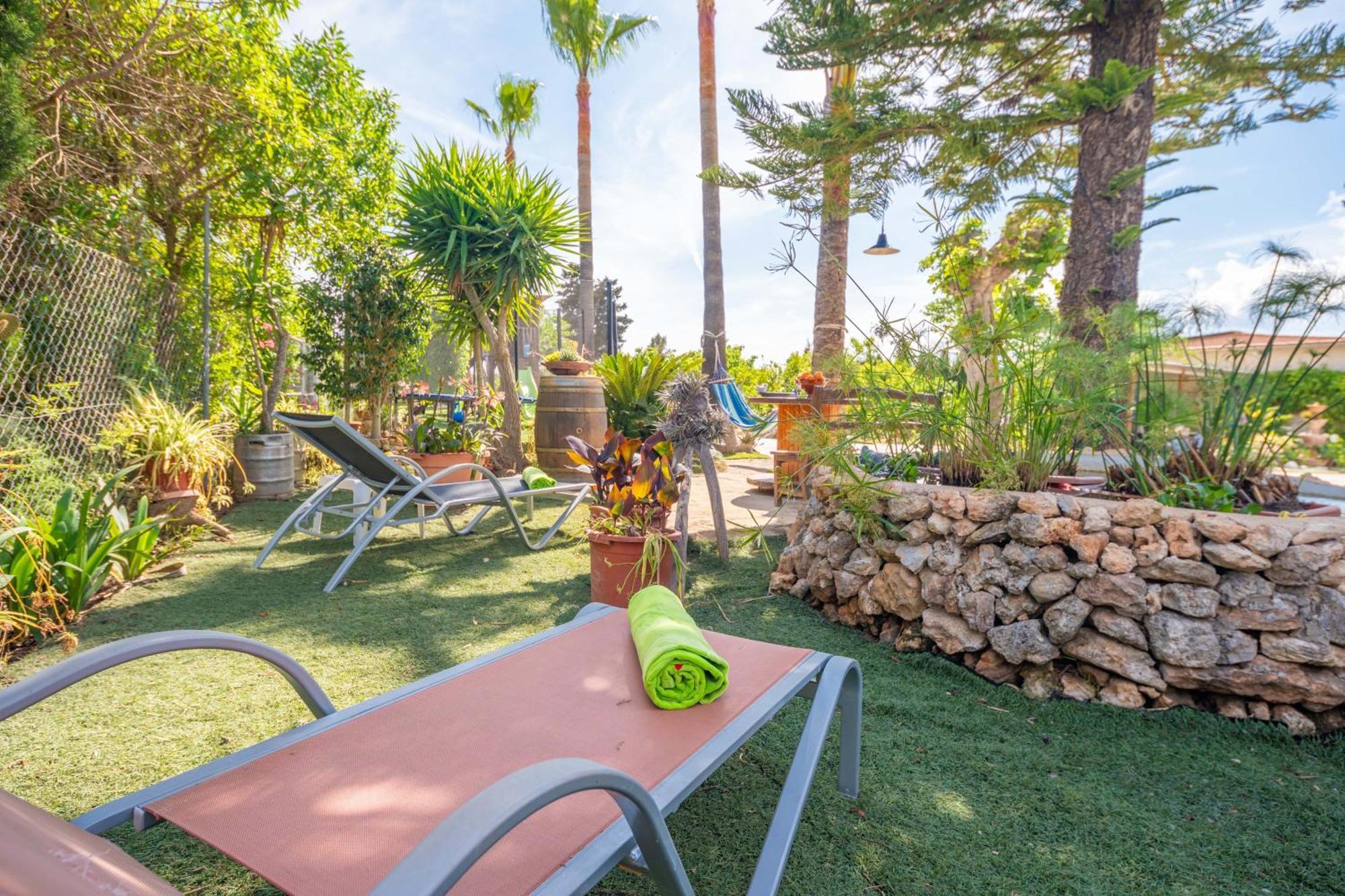 Pintat -llubi- San Lorenzo (Mallorca)