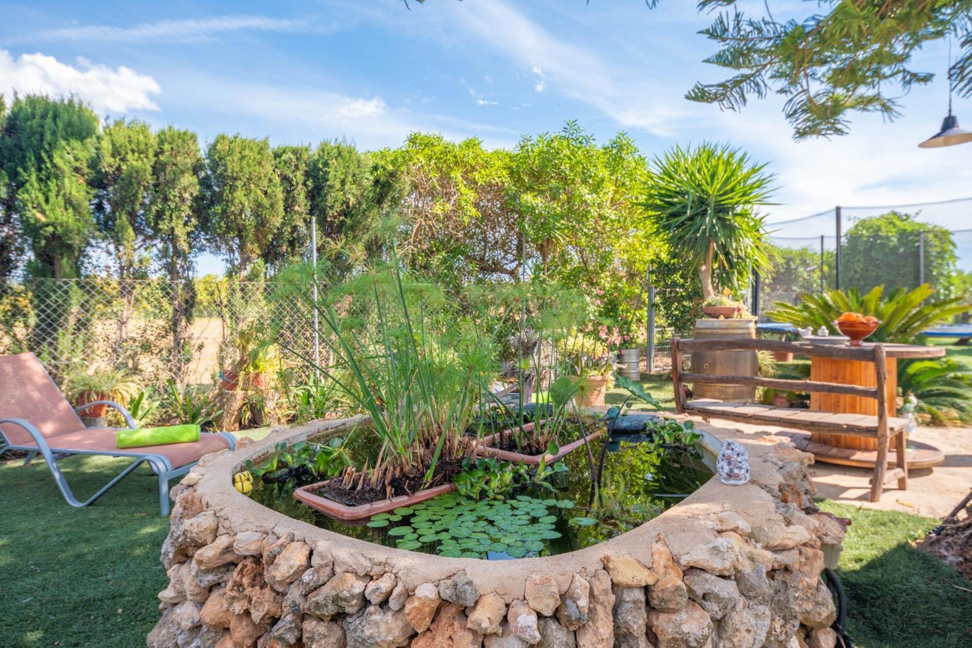 Villa Pintat -llubi- *