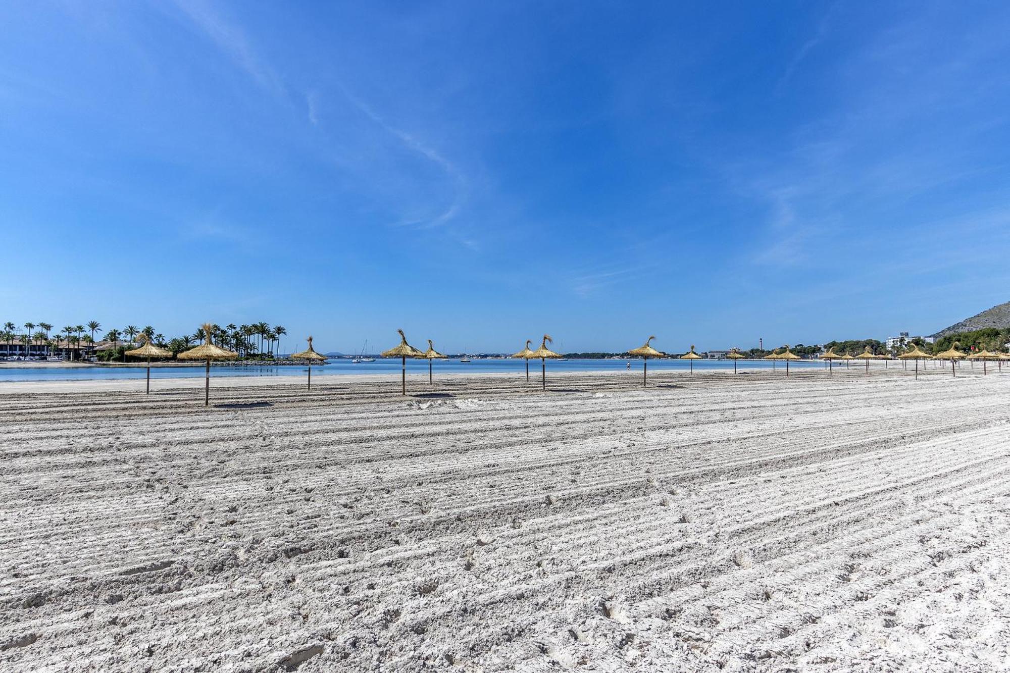 1st Line Alcudia * Port de Alcudia (Mallorca)