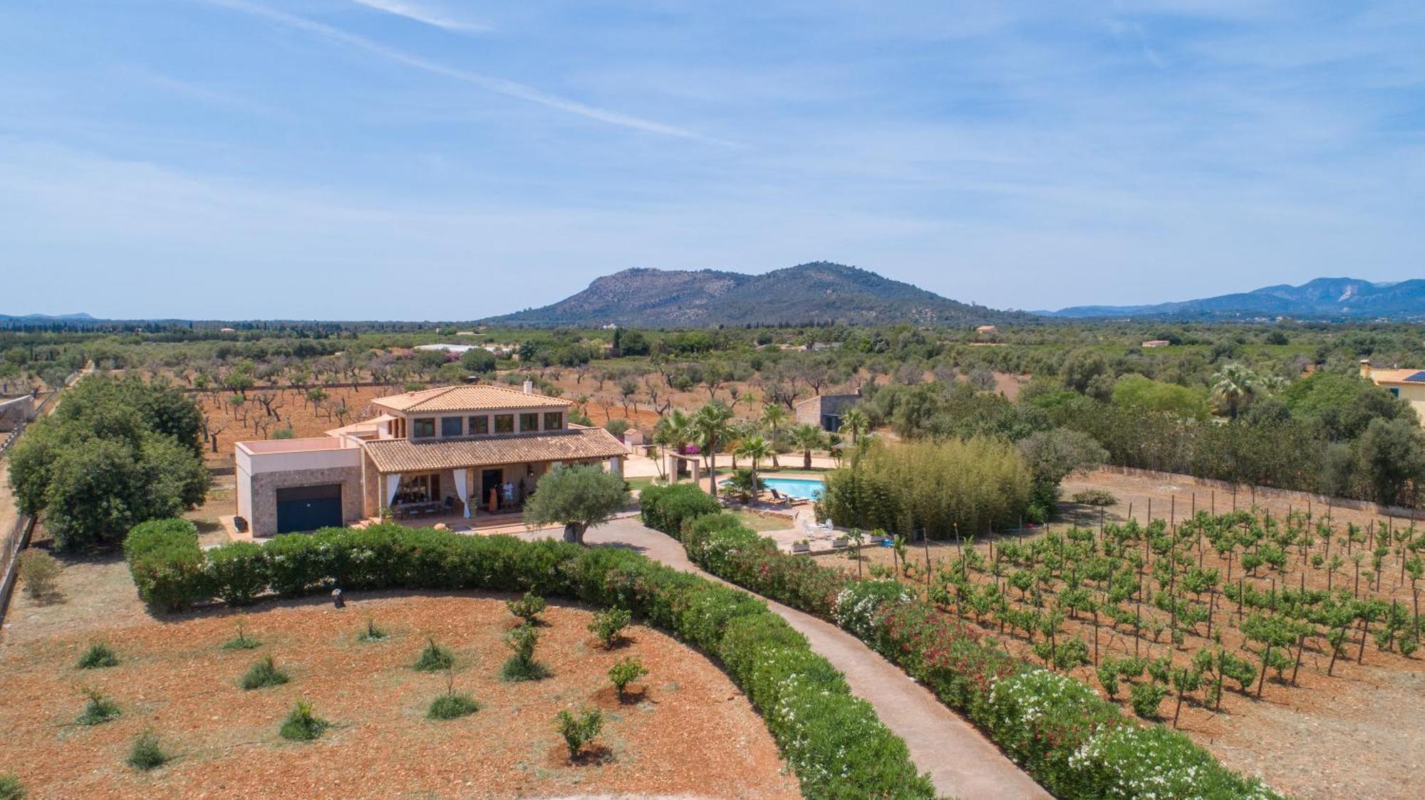 - 4740 Mallorca Búger