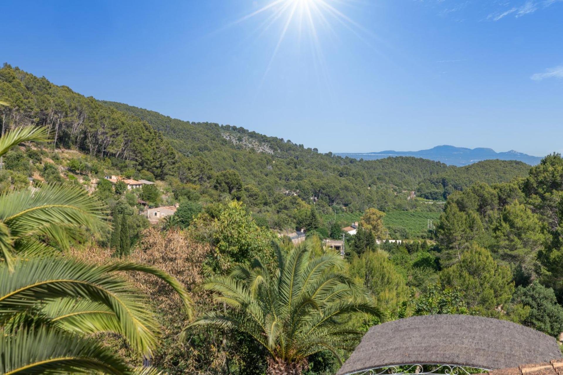 Especial El Pino Mallorca En *