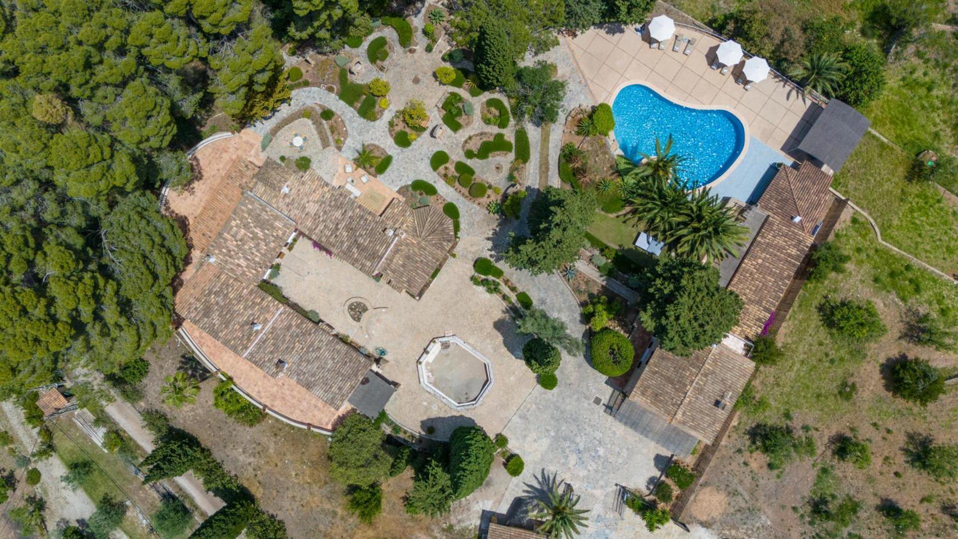 Especial El Pino Mallorca En Villa Esporles