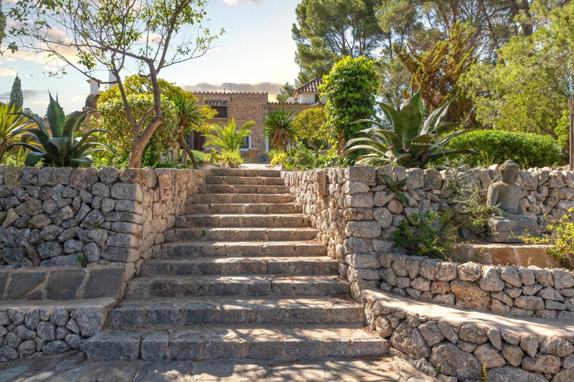 Especial El Pino Mallorca En *