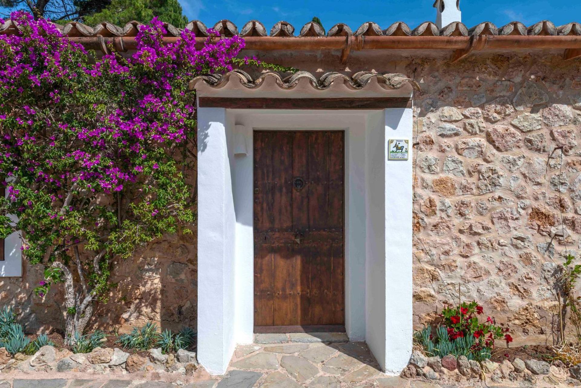 Especial El Pino Mallorca En * Esporles