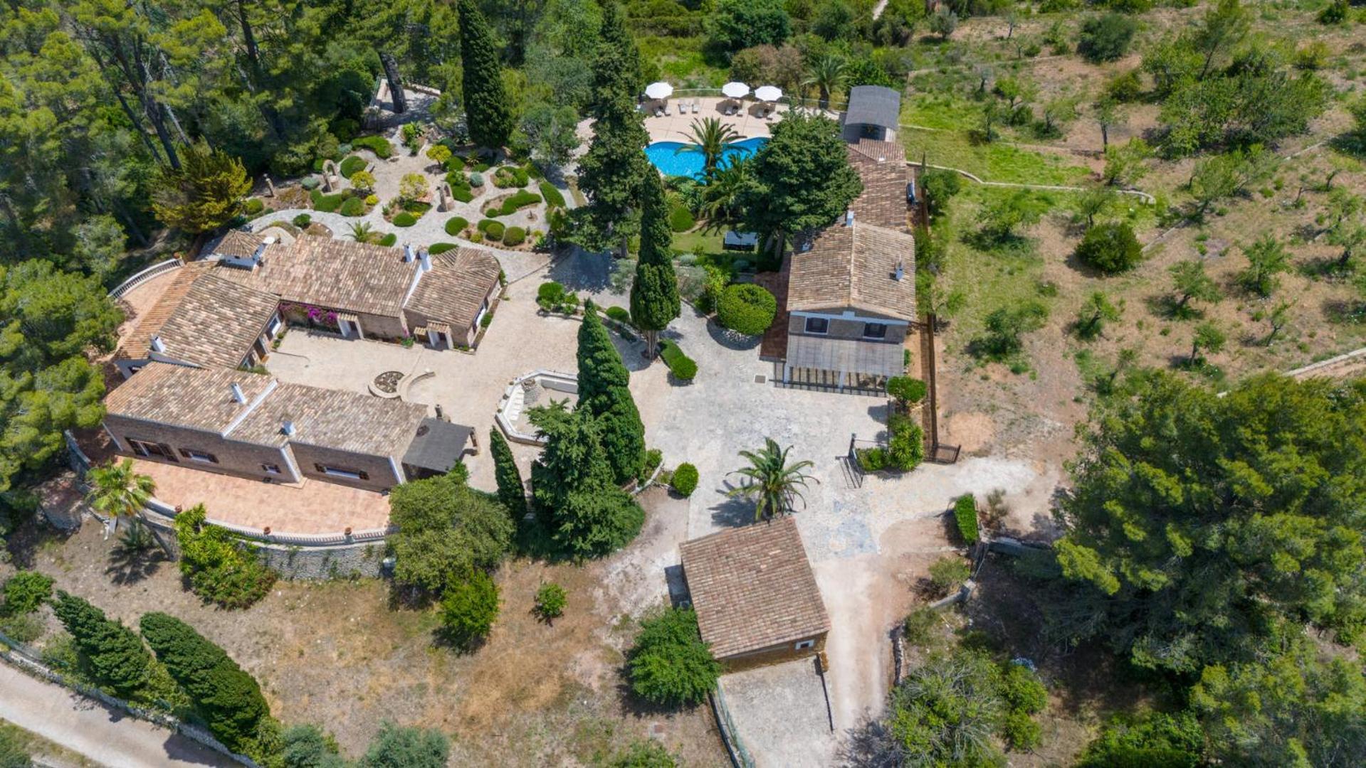 Especial El Pino Mallorca En *