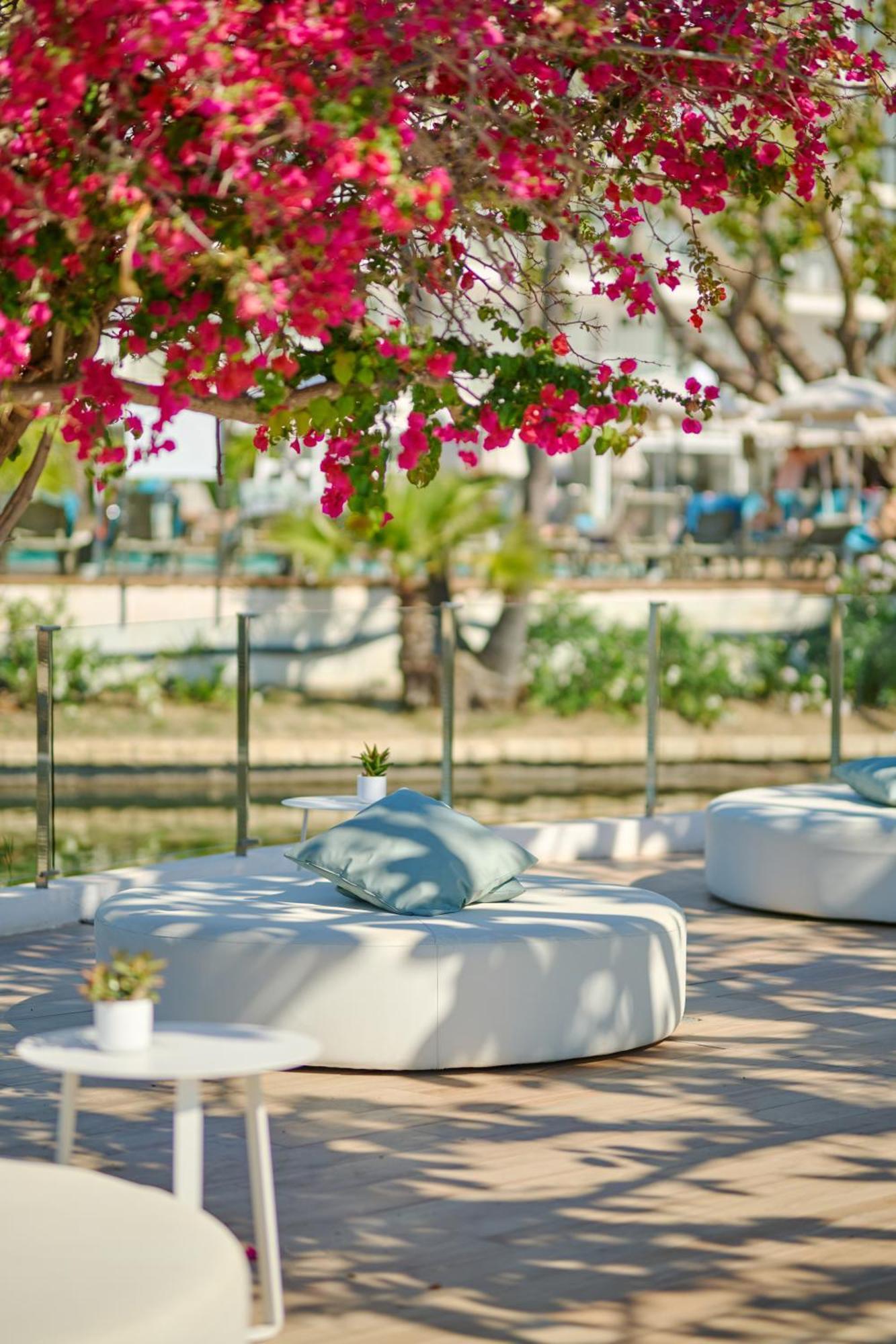 Alua Boccaccio 4* Puerto de Alcúdia