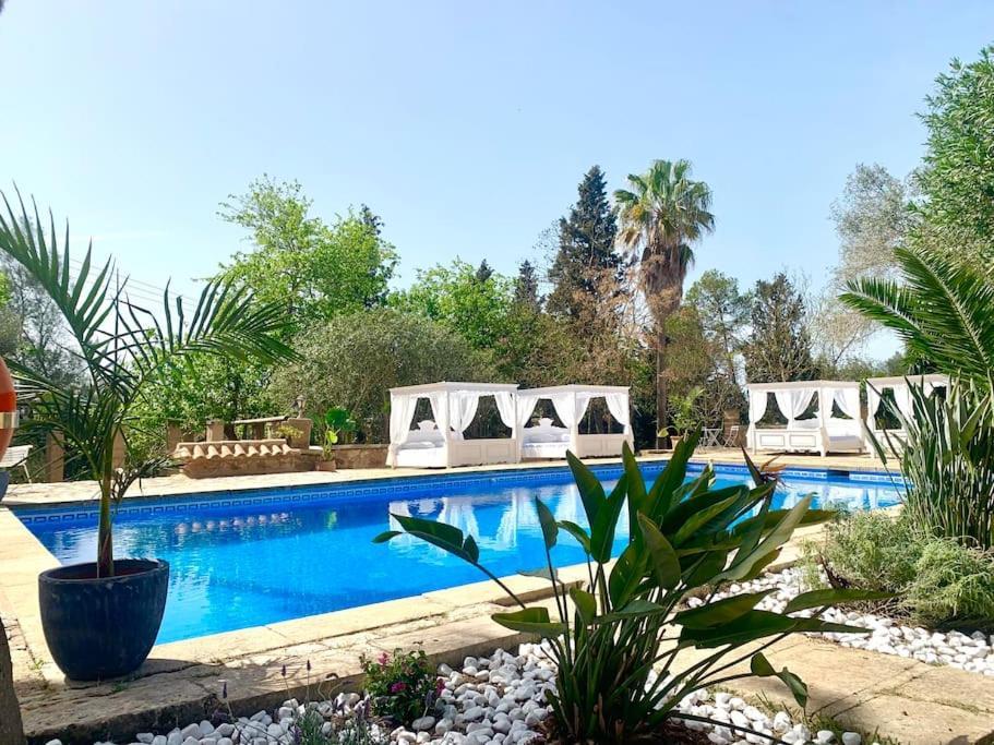 Apartamento Llorenc 1, Entspannung Pur,stilvoll,ruhig,xxl Pool *