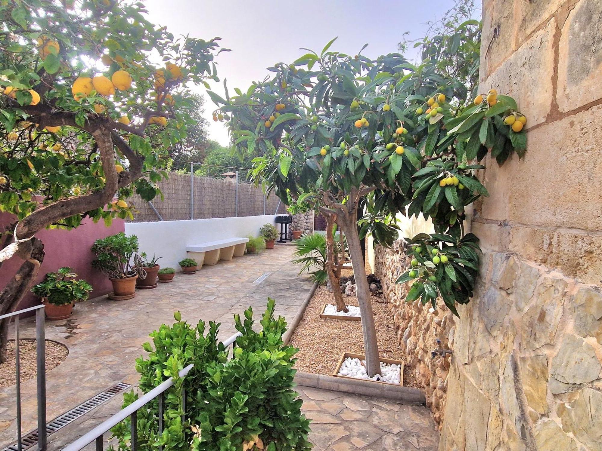 Holiday home Sotio, In Campanet