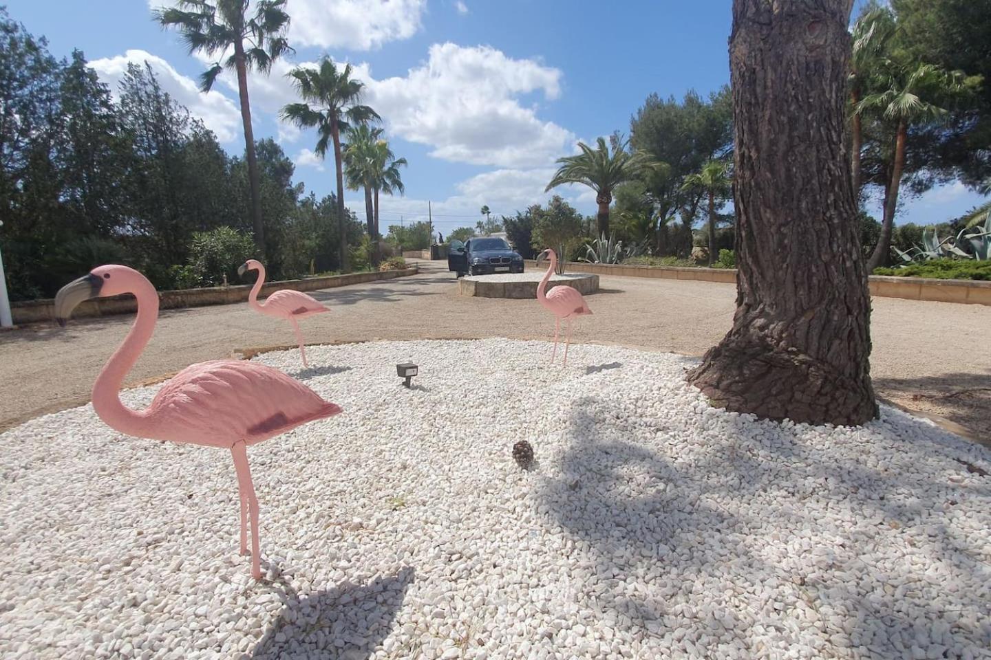 Del Artista Super Lujo Villa Llucmajor (Mallorca)