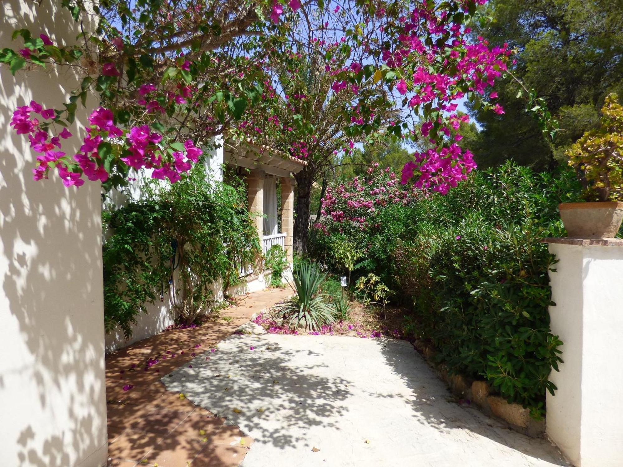 Apartment Herdain Cielo de Bonaire