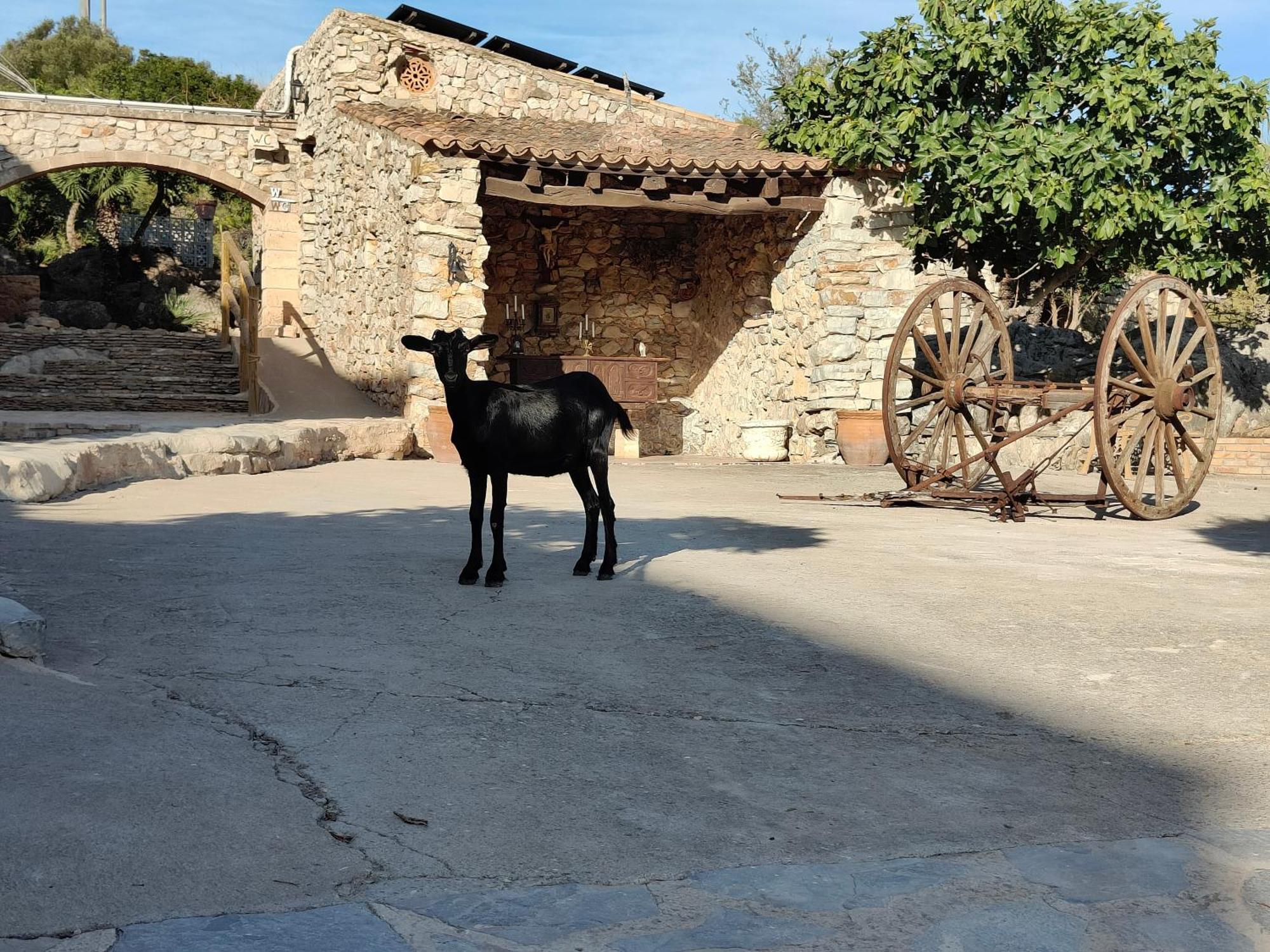 Sa Duaia