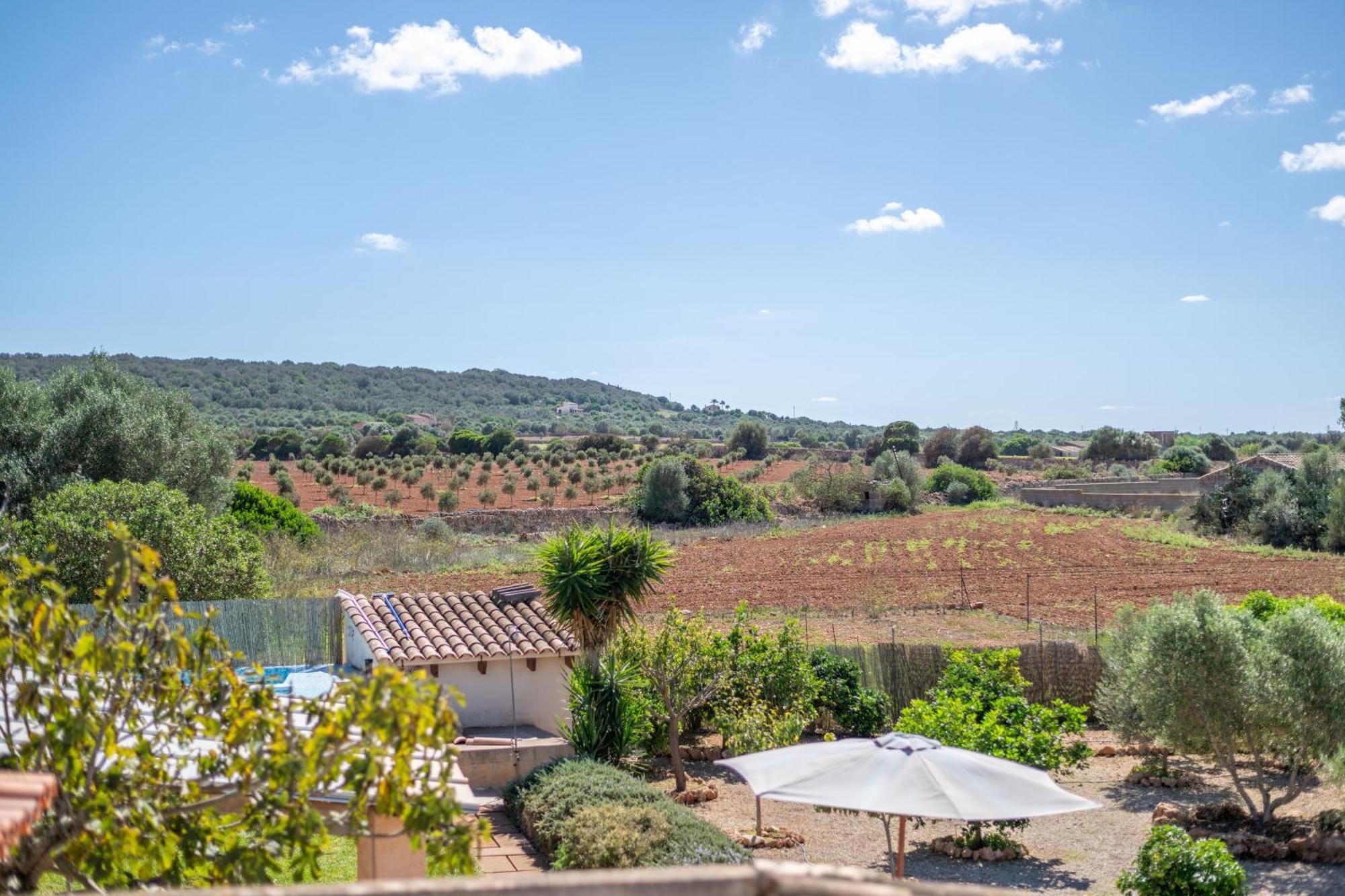 Sa Vela Villa Ses Salines (Mallorca)