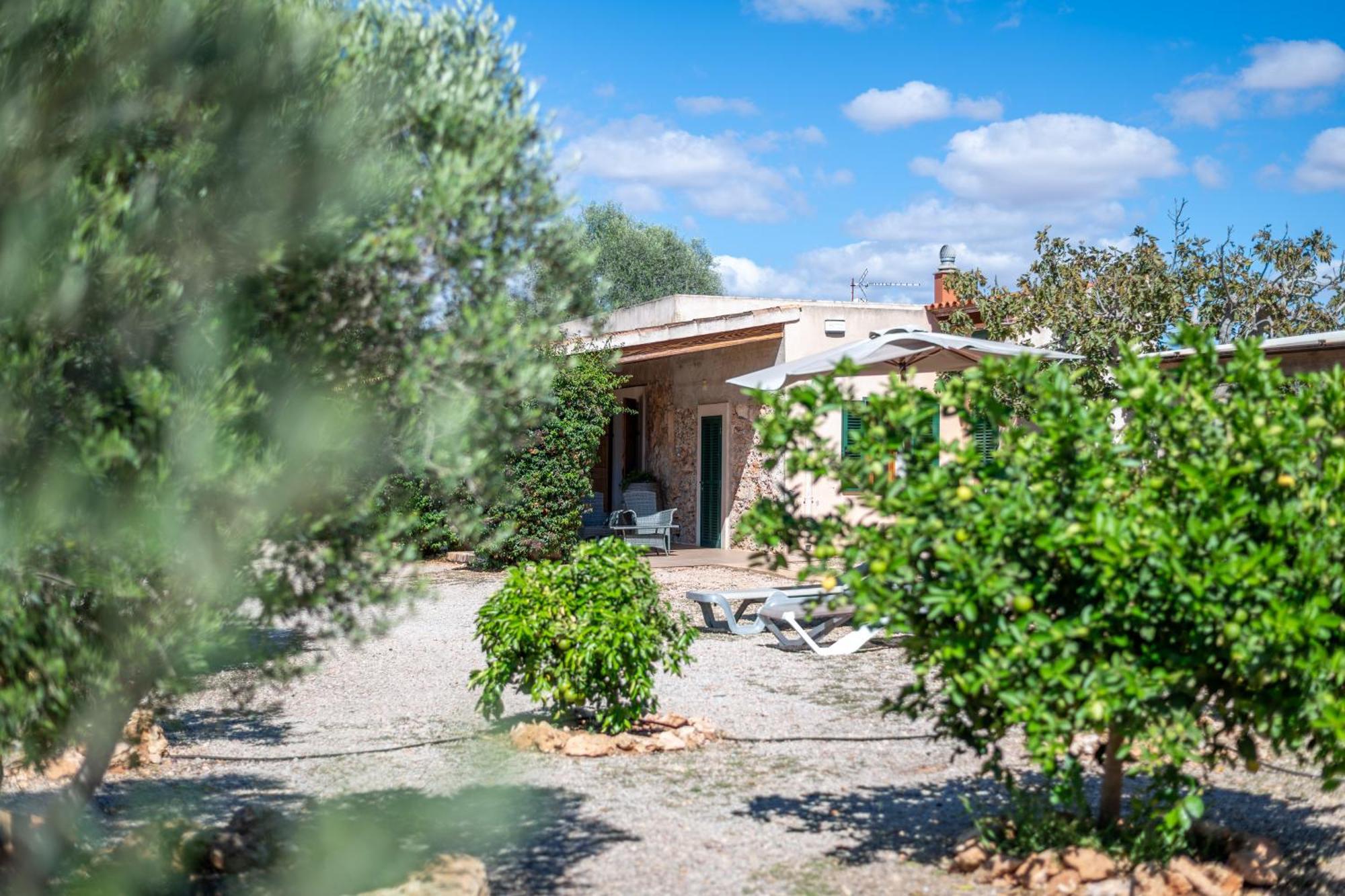 Sa Vela * Ses Salines (Mallorca)
