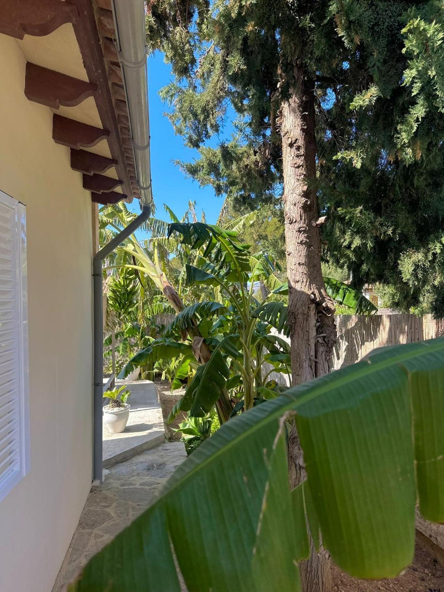 Сasa de vacaciones Bonaire House *