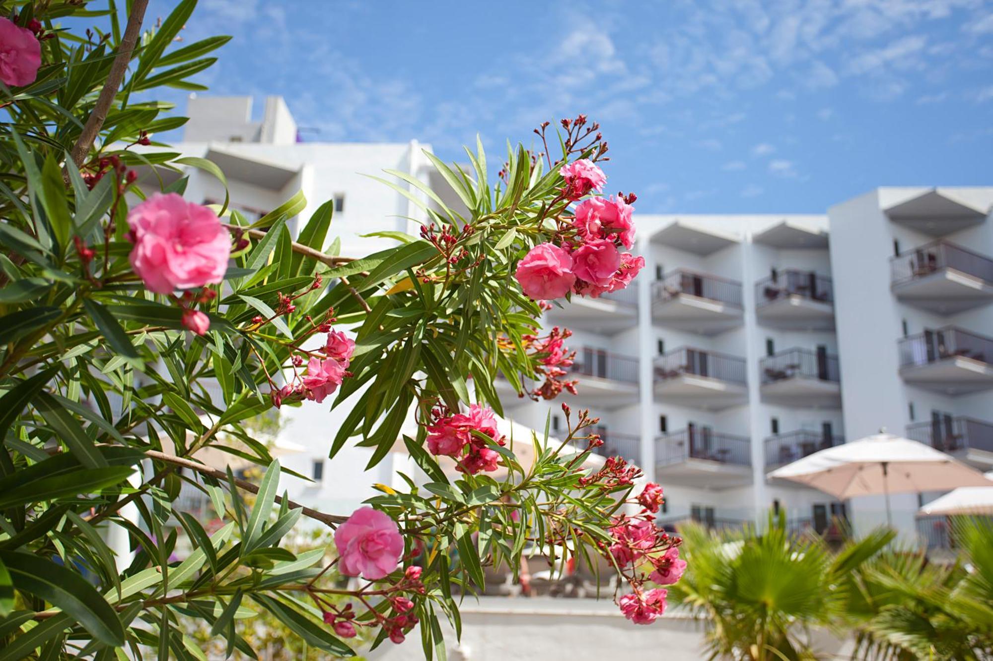 Hotel Fergus Bermudas 4*