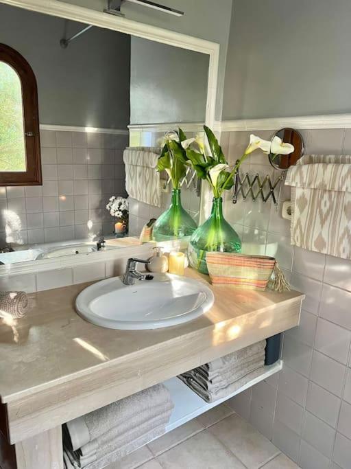 Encantador Molino Con Piscina Alcúdia