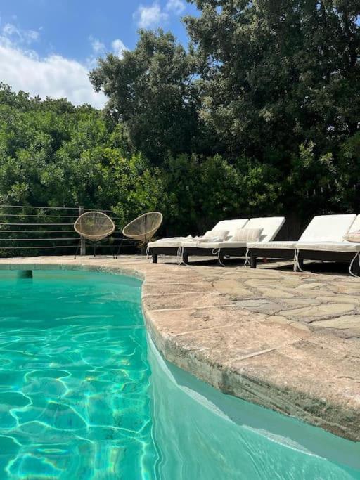 Encantador Molino Con Piscina * Alcúdia