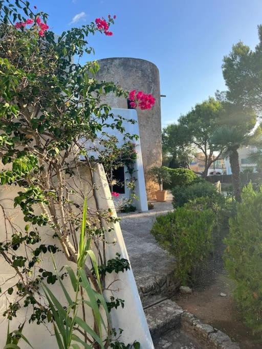 Encantador Molino Con Piscina Villa