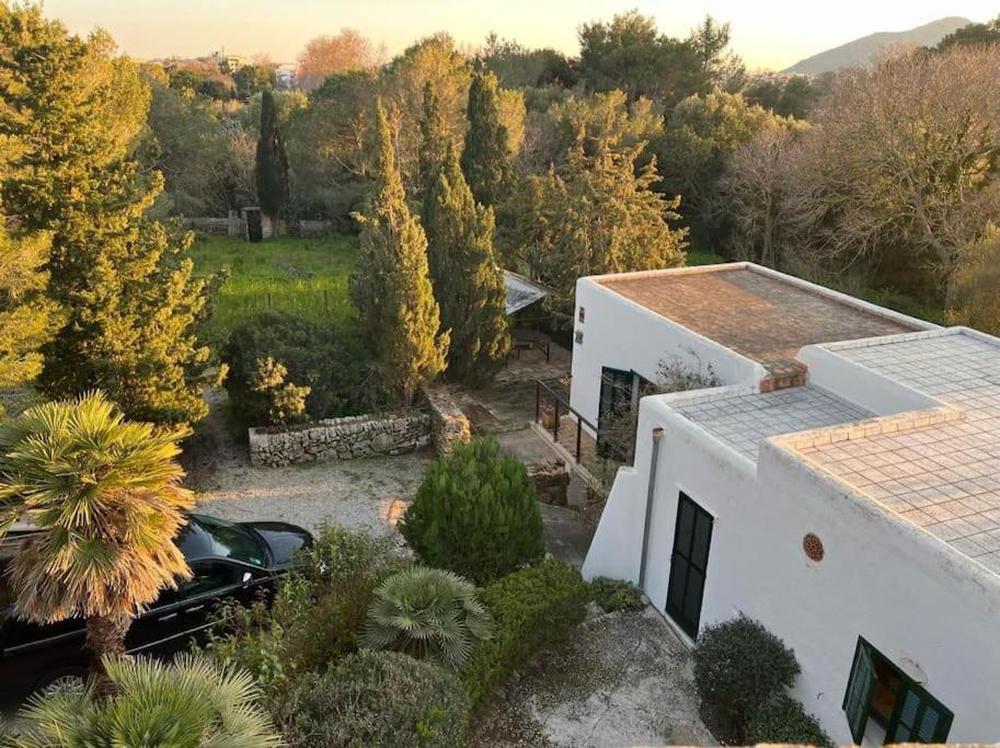 Encantador Molino Con Piscina Villa Alcúdia
