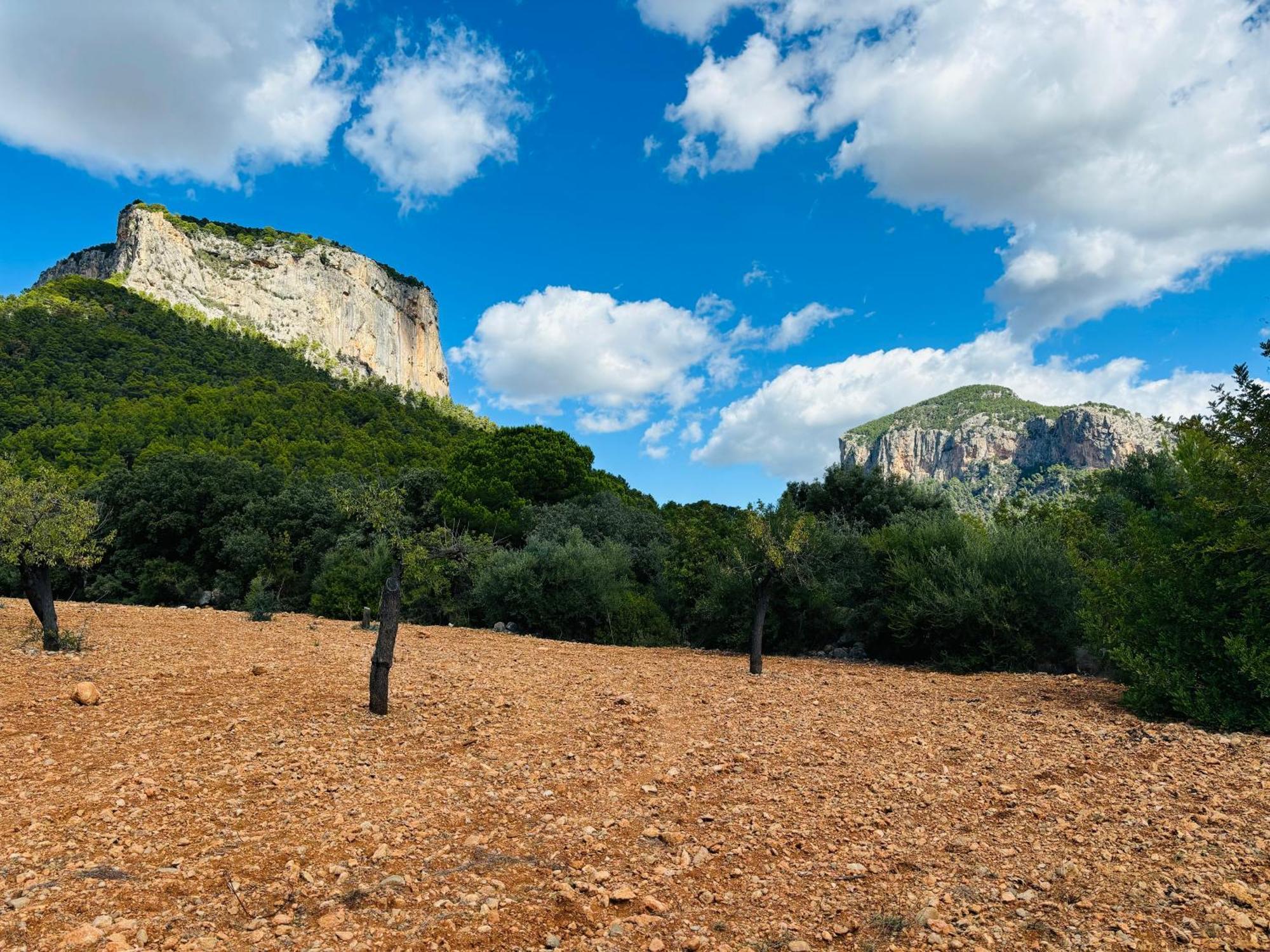 Casa rural Son Penyaflor Alaró