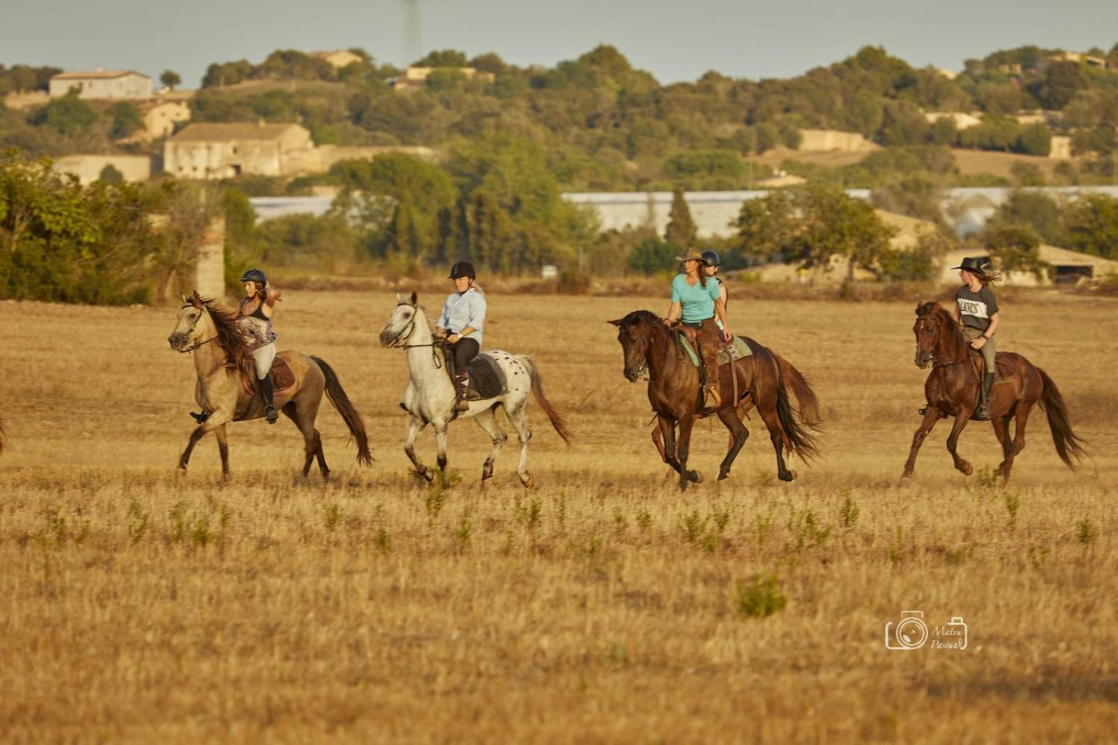 Country house Ses Estaques *