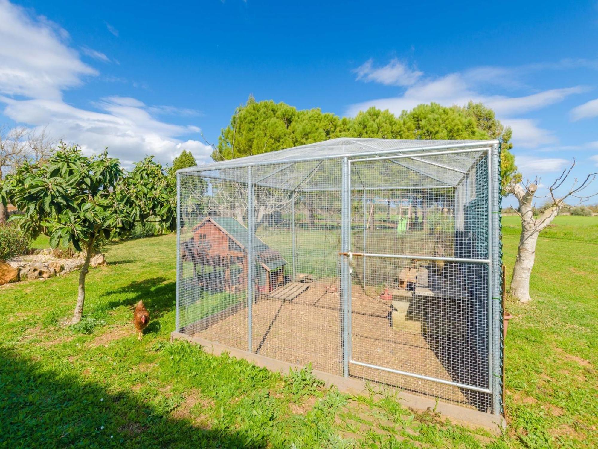 Es Rafal Nostro 8 With Private Pool * Felanitx