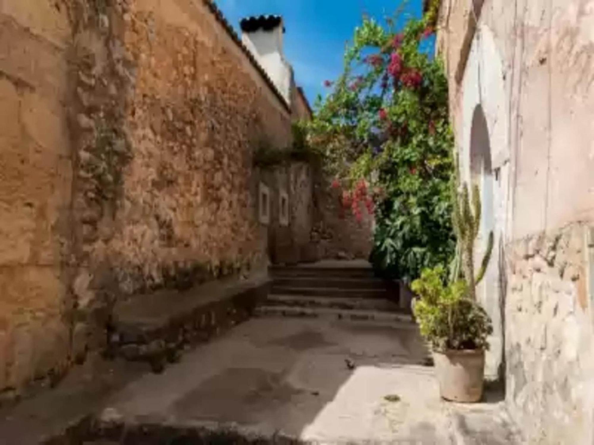 Pina - Eco Arco-apartment In * Costitx (Mallorca)