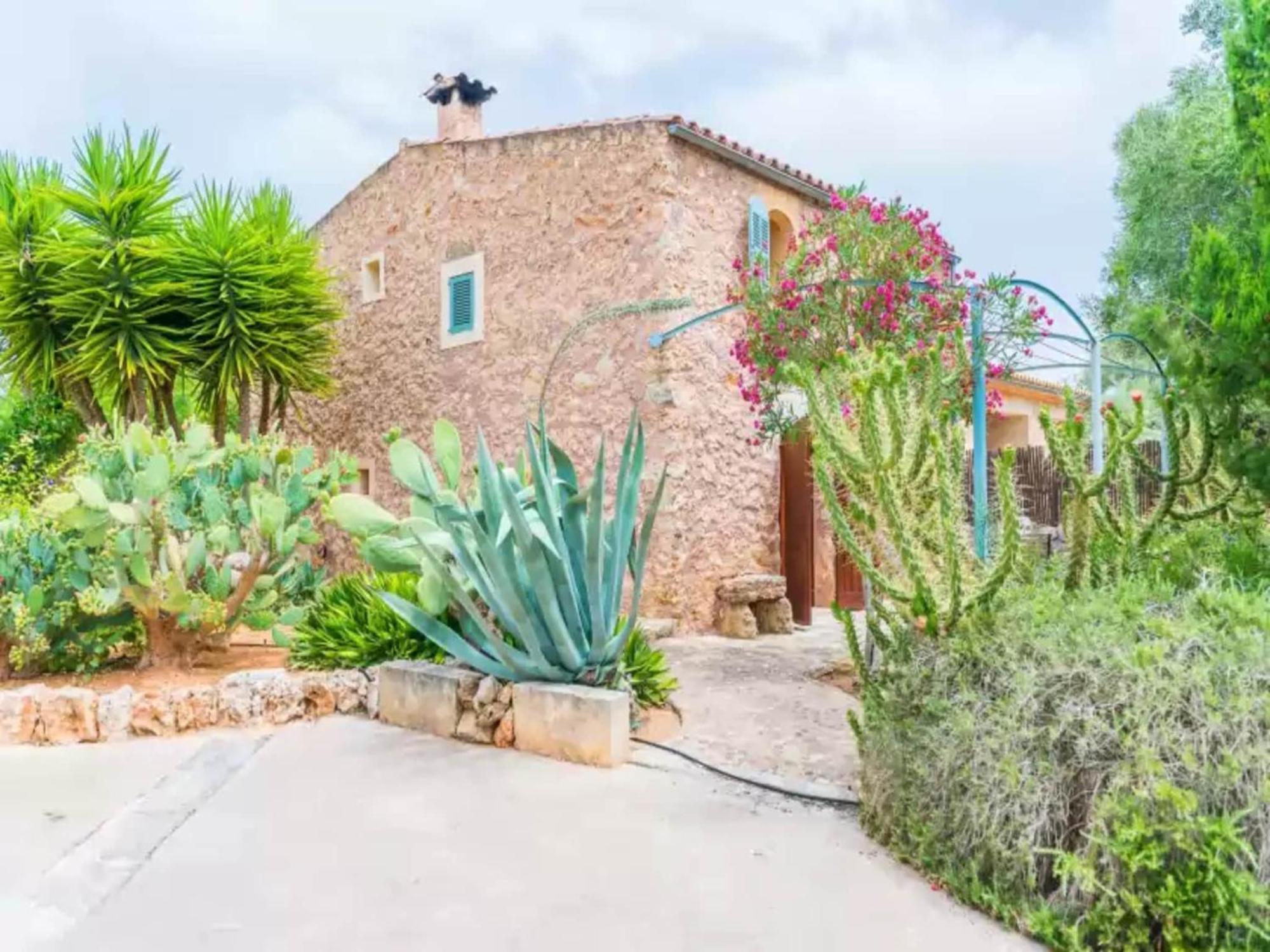 Pina - Eco Pina-apartment In Villa Costitx (Mallorca)