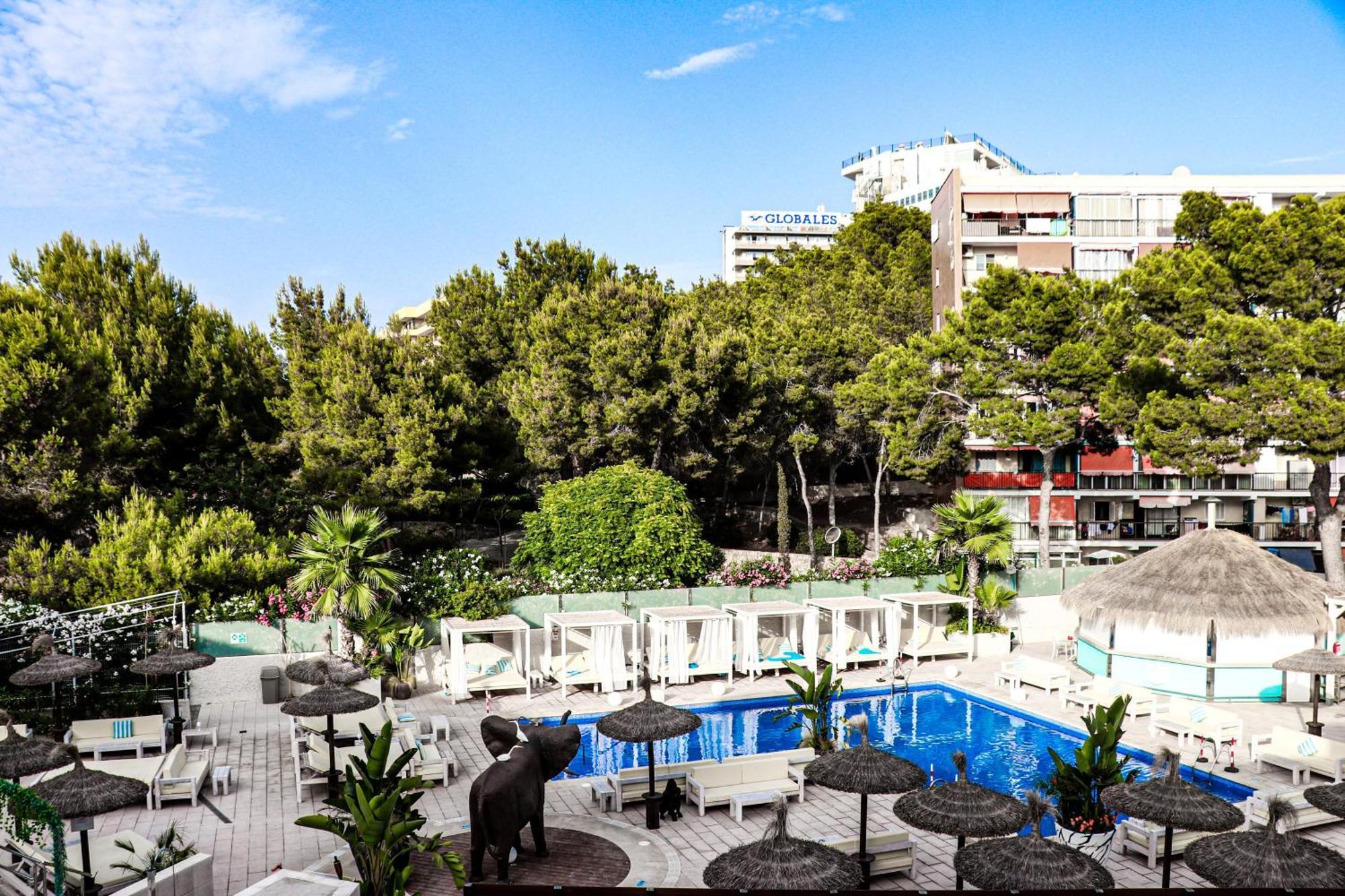 Apartamento Mallorca Magaluf (Mallorca)