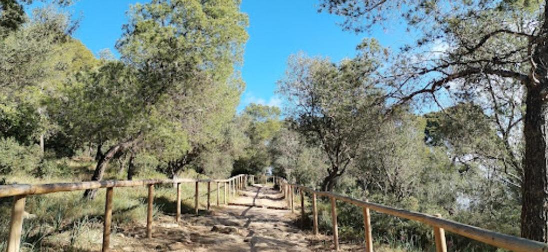 Luna Llucmajor (Mallorca)