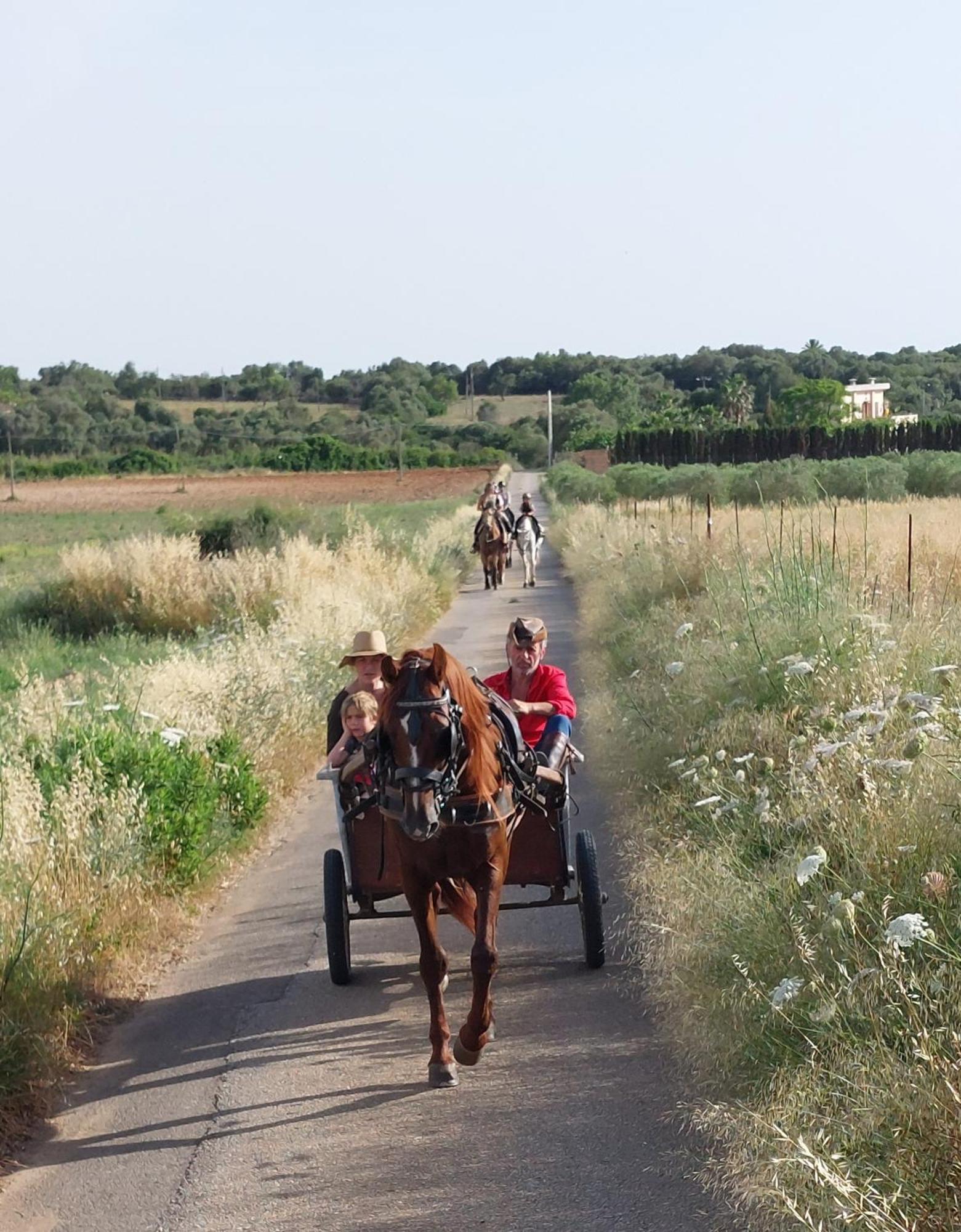 Ses Estaques Country house