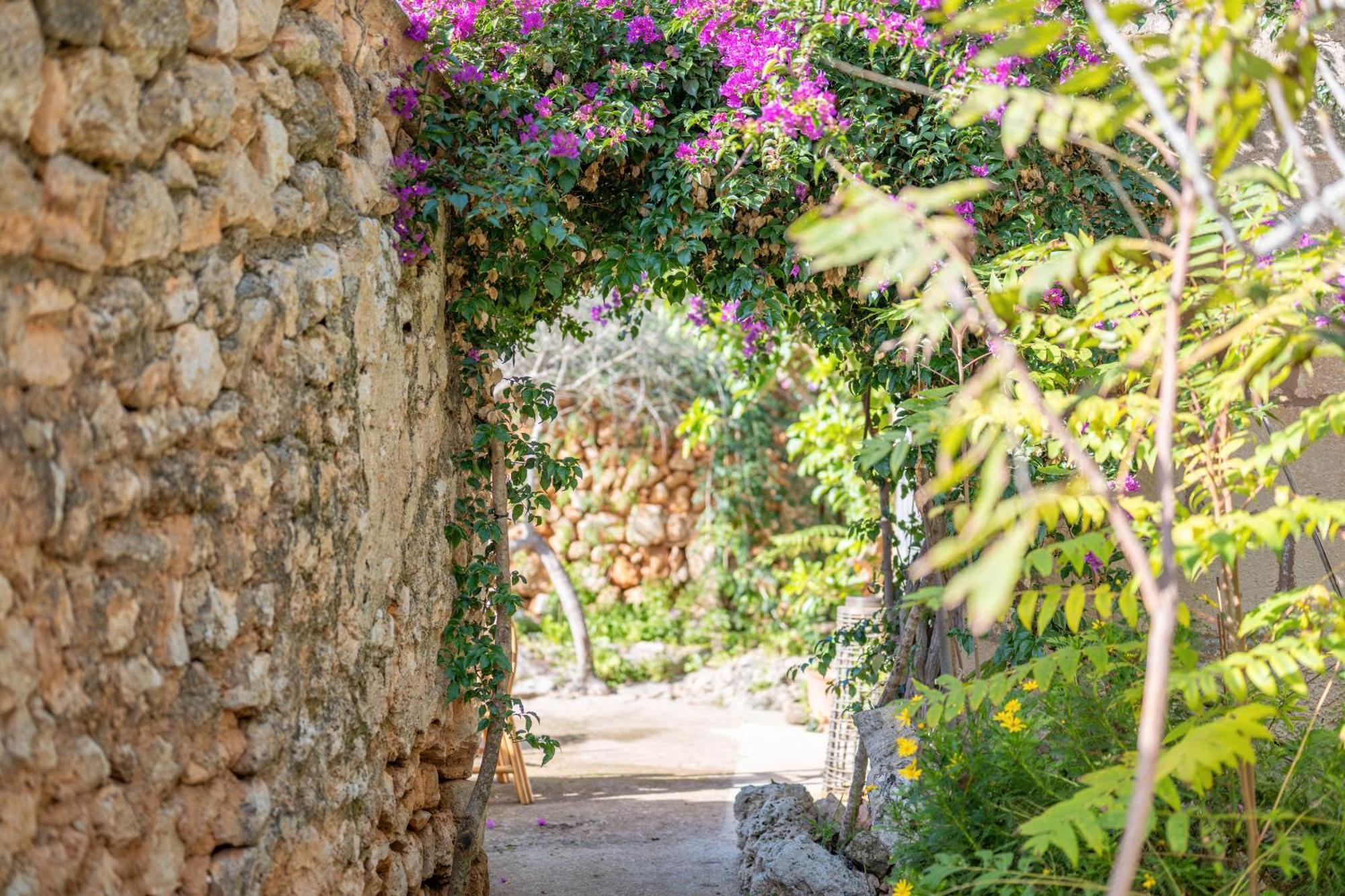 Ses Estaques Country house Manacor (Mallorca)