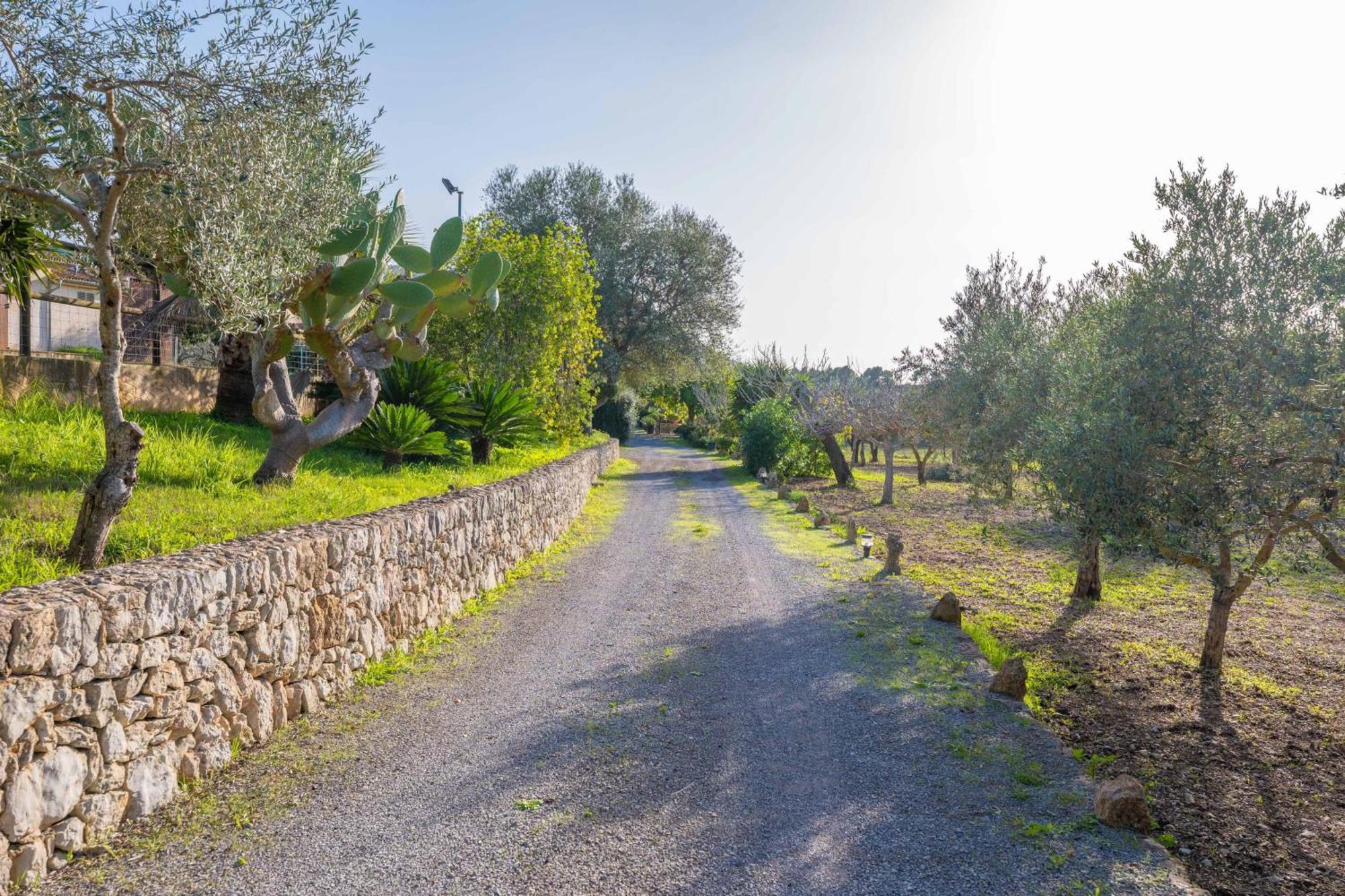 Reynes Villa
