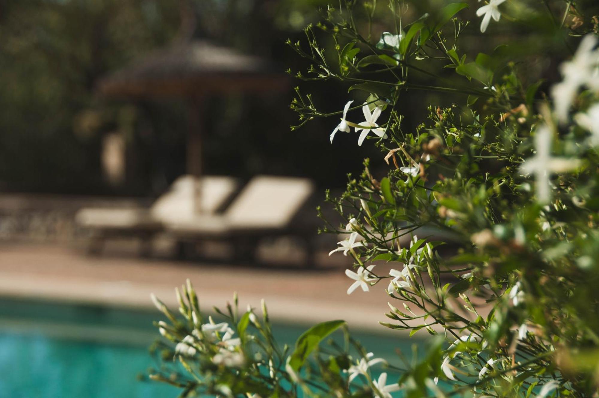 Finca Can Estades 4*
