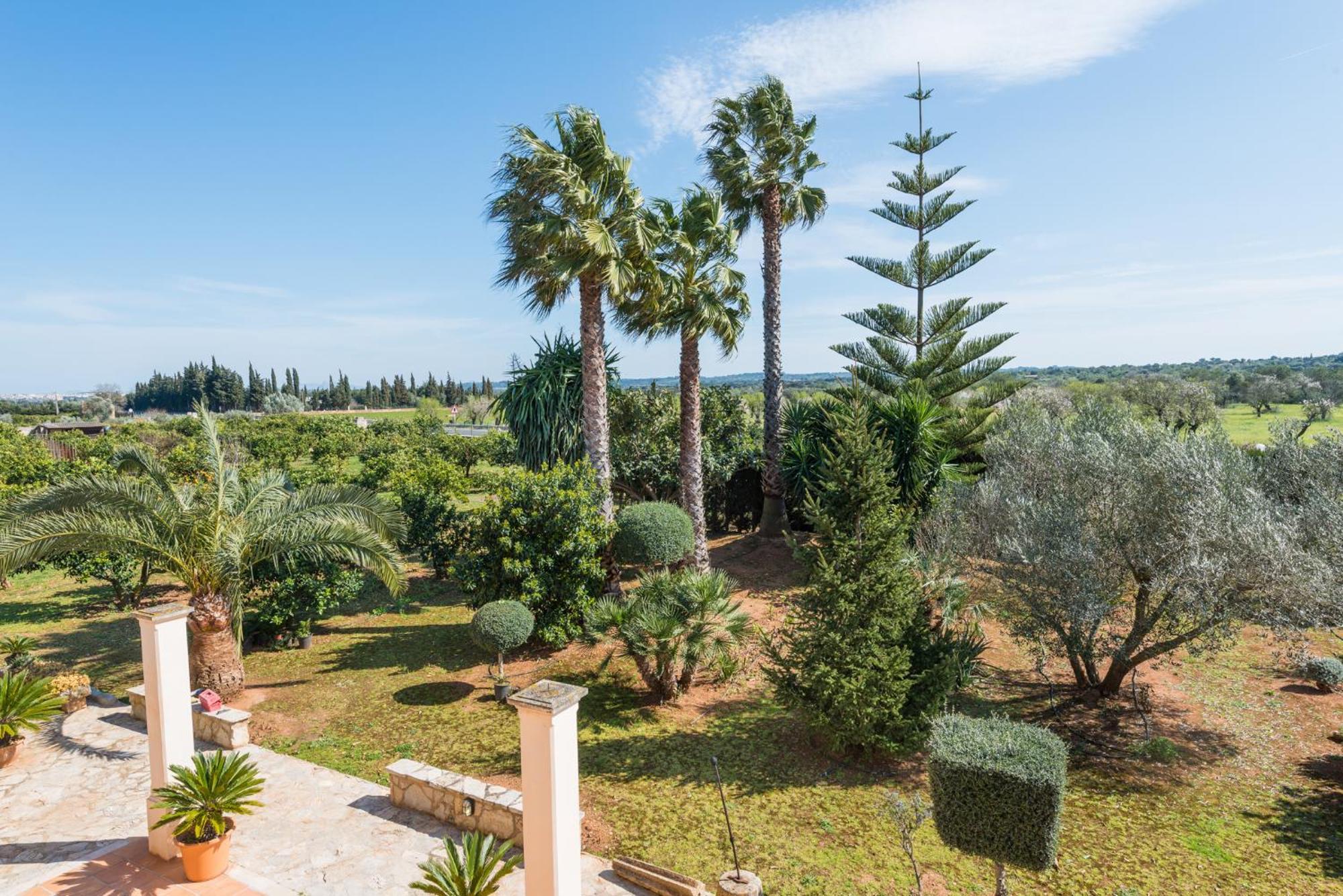 Villa Rafelino