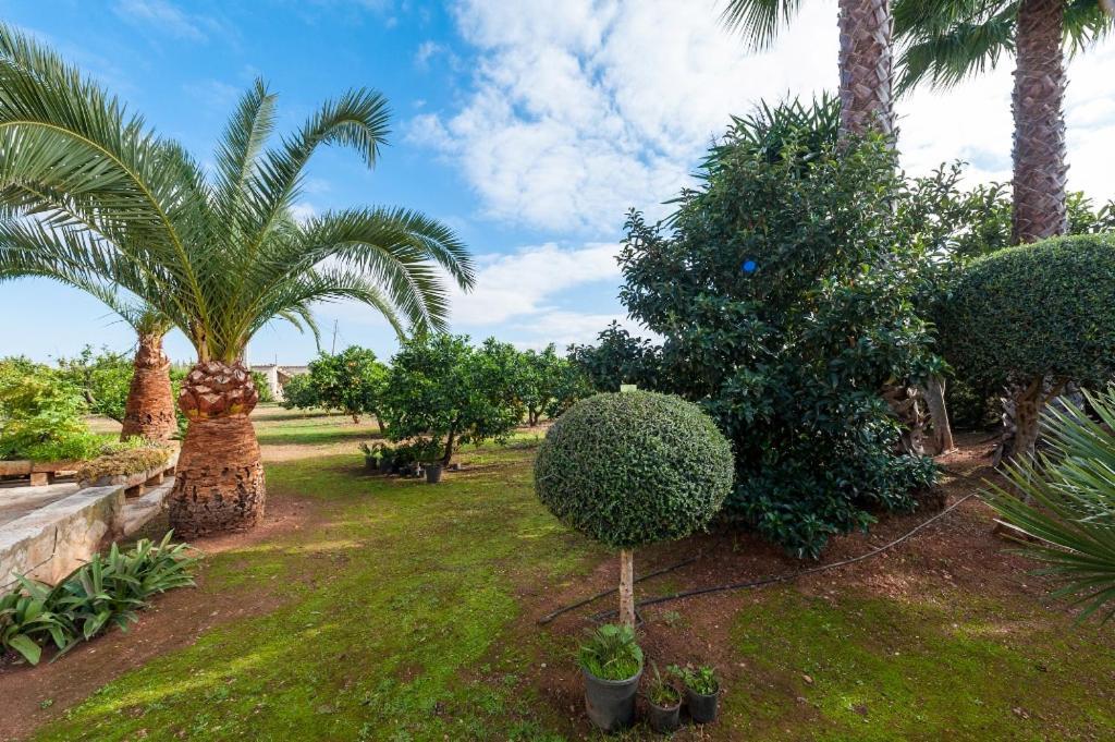 Villa Rafelino Llubí