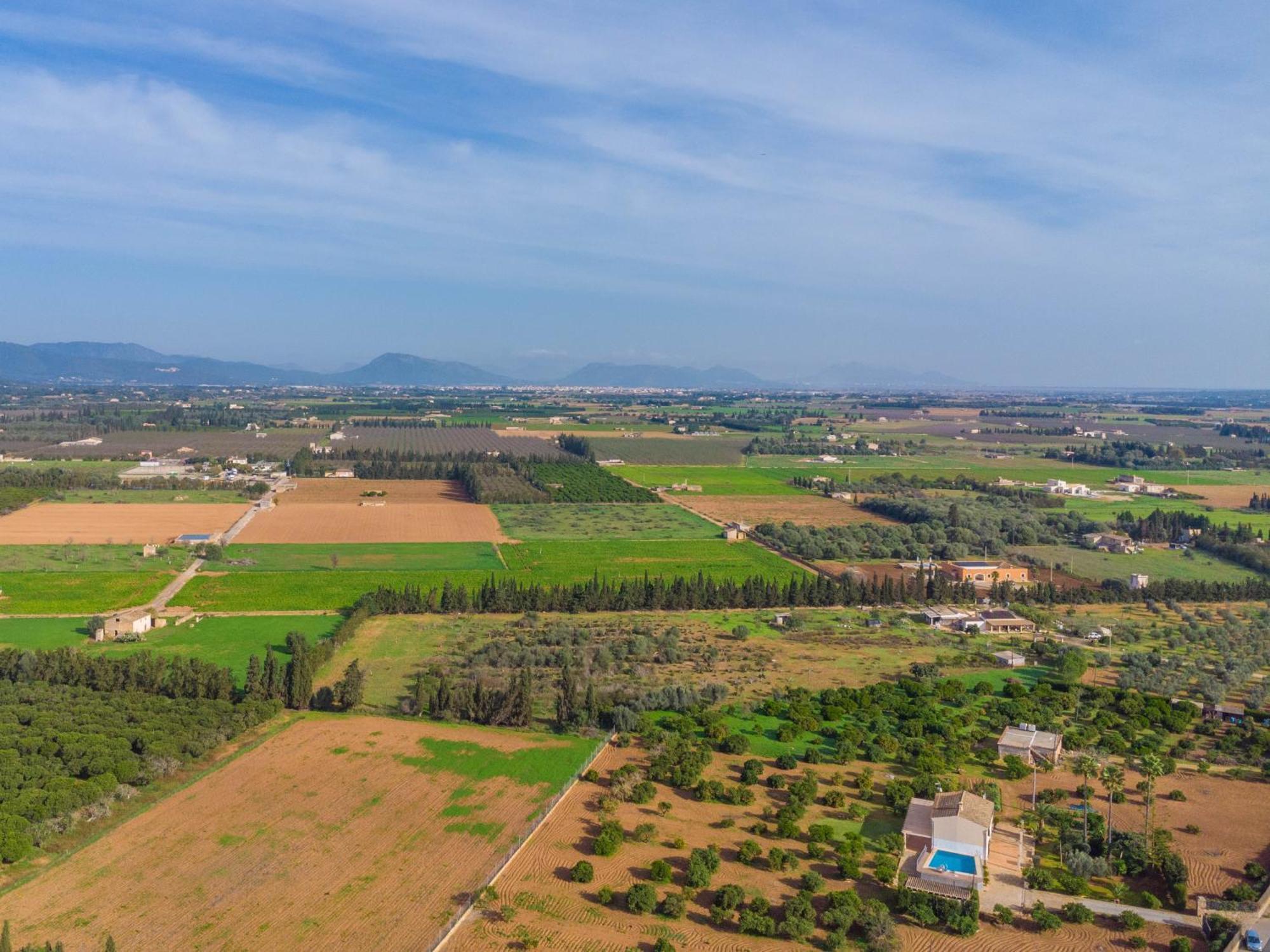 Rafelino Villa Llubí