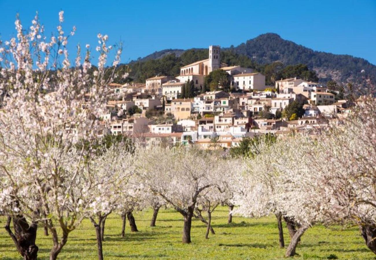 Pere Bec Сasa de vacaciones