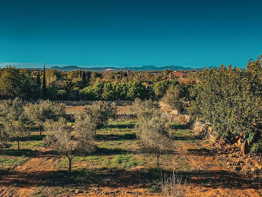 Blue Door Mallorca Agroturismo *