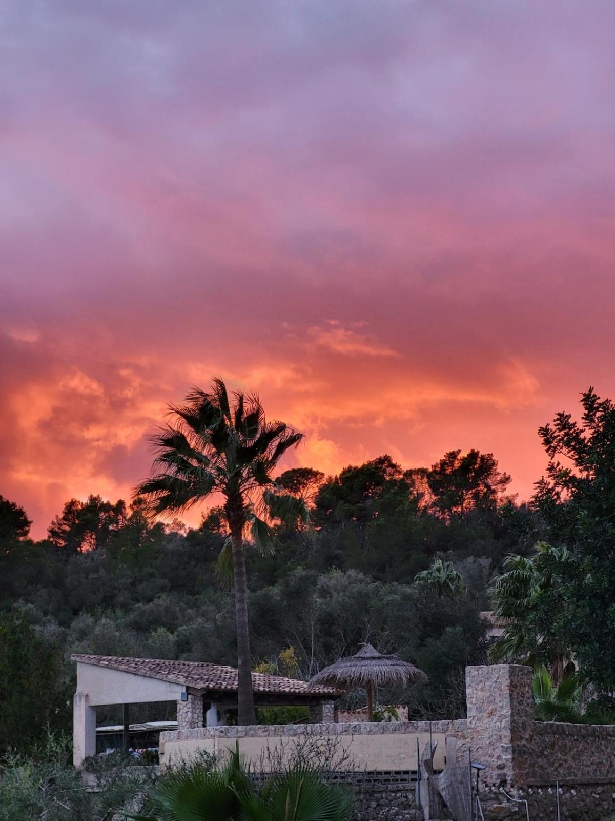 Villa S'almudaina Farm 12p Etv1135 *