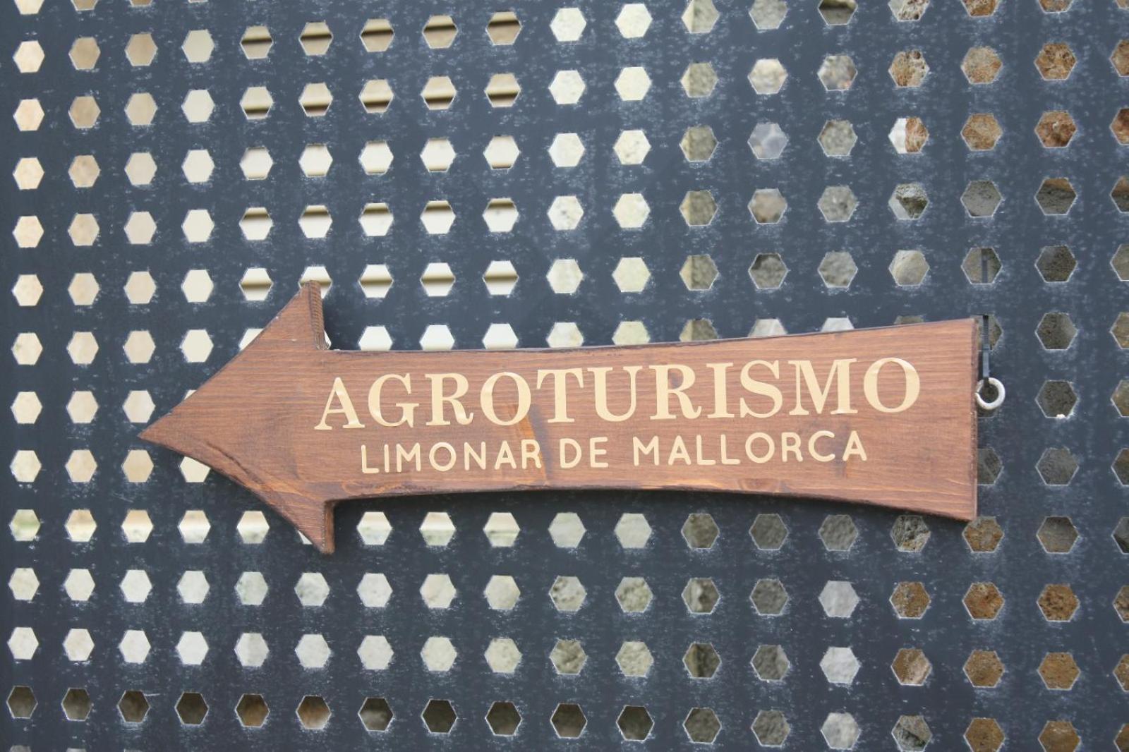 Apartment El Limonar De Mallorca - Ballerics